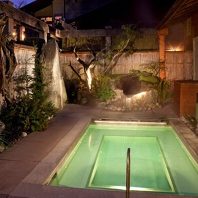 Intraceuticals - Willow Lodge